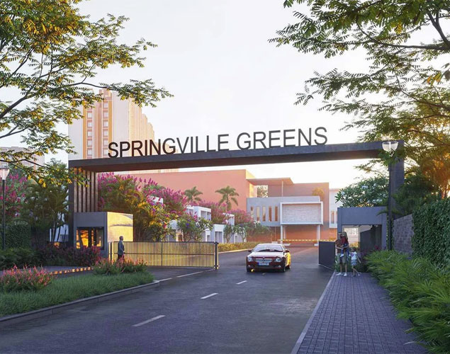 springville greens